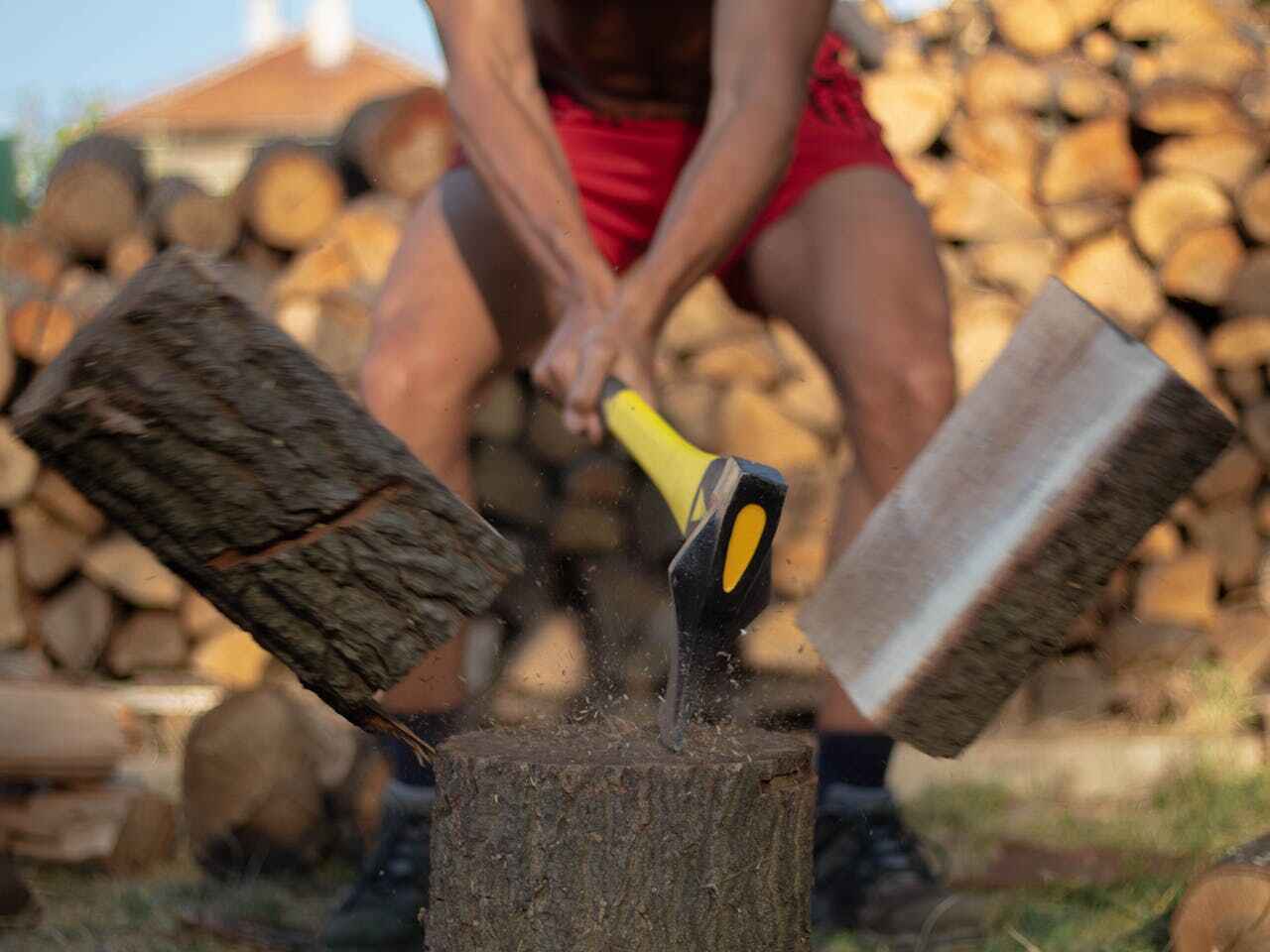 Best Affordable Tree Cutting  in Groves, TX